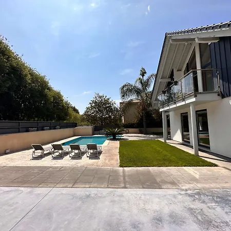 Sparrow In Residential Area By Hlclub Agency * Vilanova i la Geltru